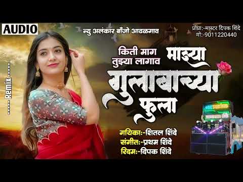 माझ्या गुलाबाच्या फुला | majha gulabacha fula | New Alankar Banjo Group Adalgaon Active Pad Mix song