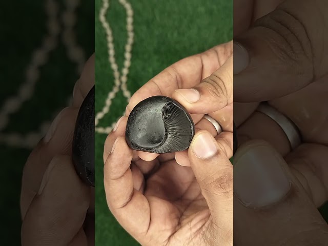 Sudarshan Chakra Shaligram Vishnu Pujan Set with Tulsi Mala video