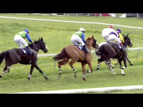 Fehraltorf/17.04.2017/Preis der Seegarage Klaui AG, Pfaffikon ZH