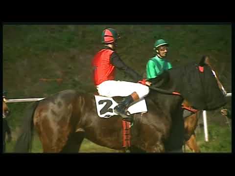 Galoppo 25/02/2020 - 6ª corsa