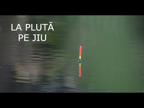 Pescuit LA PLUTA PE JIU cu MĂMĂLIGĂ în Căutarea Carasului - Partidă aproape Ratată