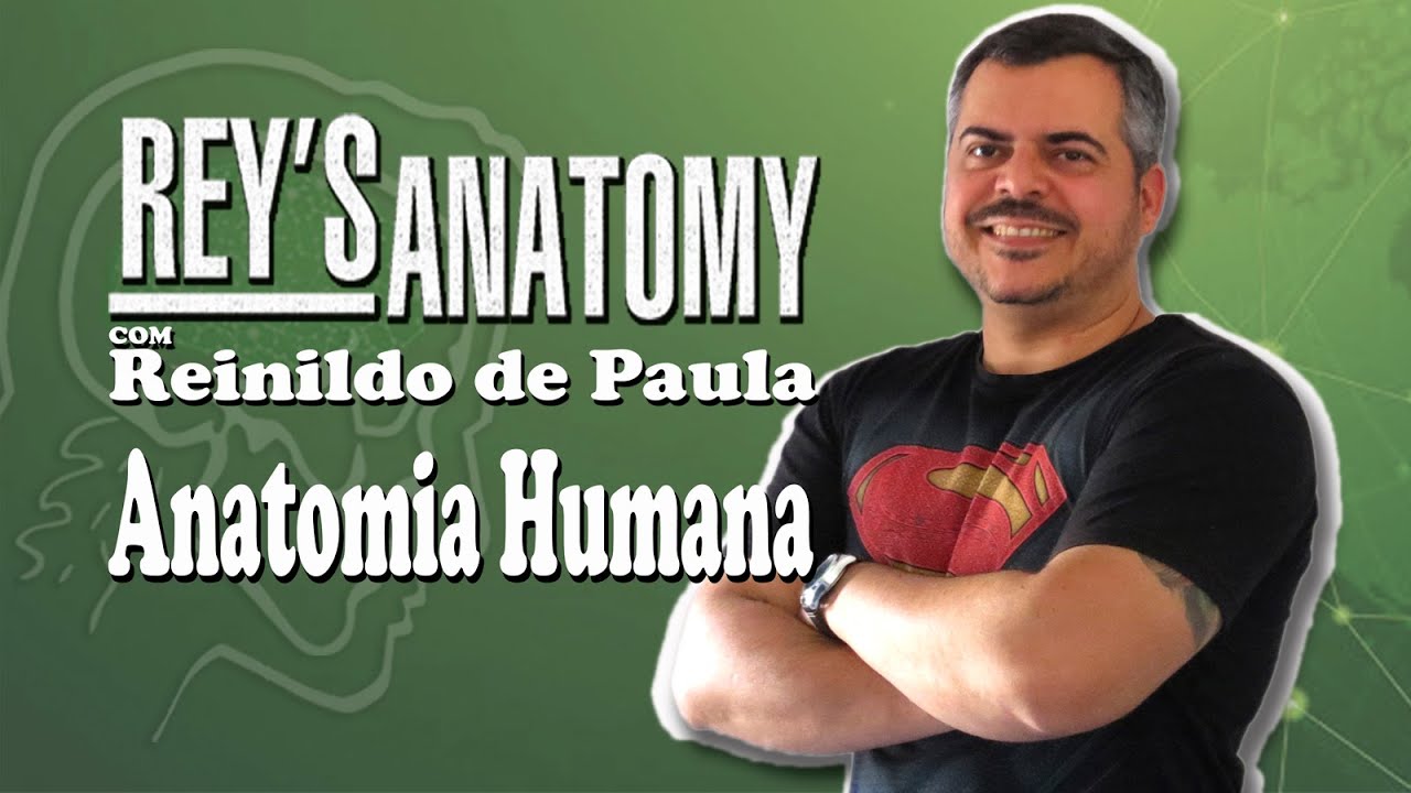 Classificação Morfológica dos Ossos.