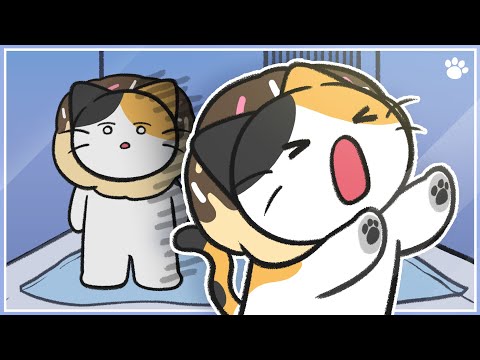 5 種危險的貓科動物疾病 (5 Dangerous Cat Diseases)