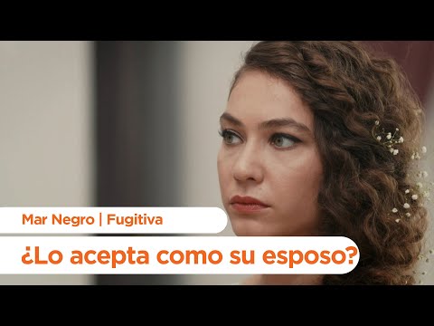 Nazar is marrying Vedat - Black Sea | Fugitive