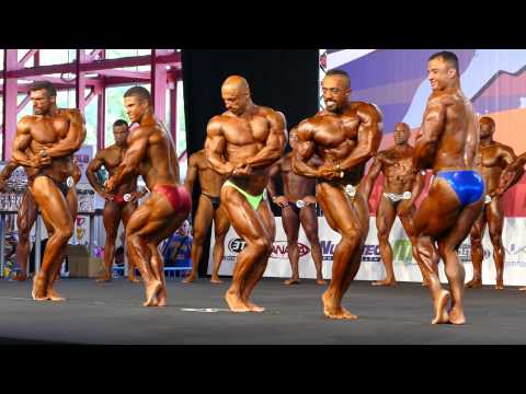 3rd Group - Compulsory - Prejudging - Under 80kg - Arnold Amateur Europe 2014