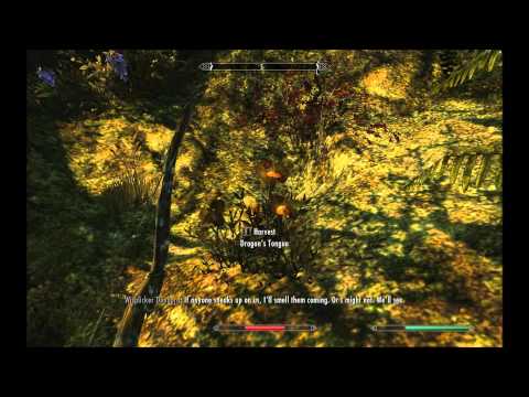 Skyrim Mod Review: Moonpath to Elsweyr