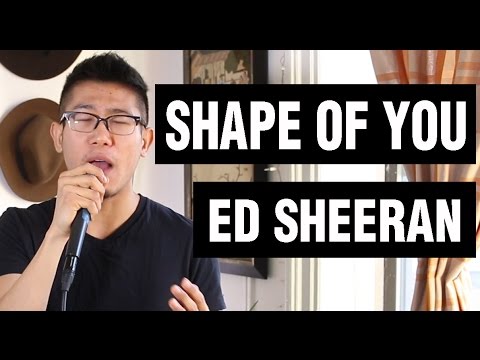Ed Sheeran - Shape of You (BEATBOx LOOPING COVER) by SungBeats