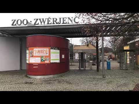 Hoyerswerda: 3G-Regelung belastet den Zoo - LAUSITZWELLE