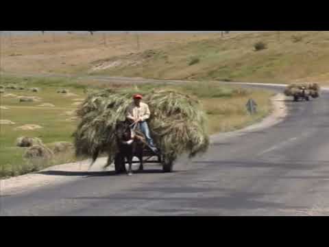 Kürtçe dengbeji -  [ yürek sızlatan dertli uzun hava dengbej ]  stranen kurdi...!!!