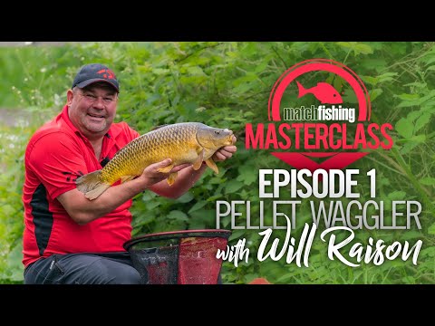 Match Fishing Masterclass | Will Raison | Pellet Waggler