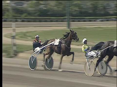 Trotto 17/04/2017 - 1ª corsa