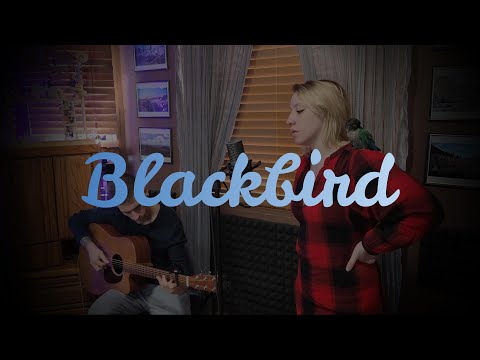 BLACKBIRD - Kate Sikora