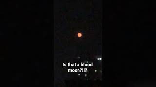 Blood moon caught on camera?!?!OMG#bloodmoon #scary #omg #halloween| @Wasif official