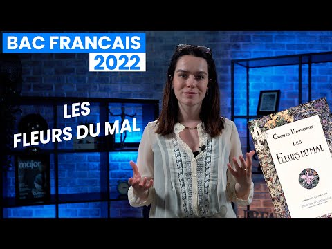 Bac de français : Les Fleurs du Mal tout ce que tu dois savoir !