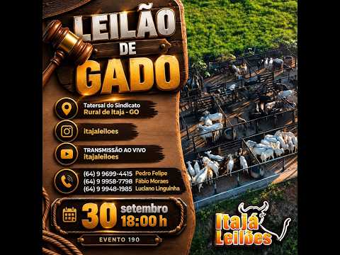 LEILÃO DE GADO DA ITAJÁ LEILÕES