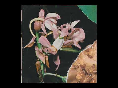 BONSAI, RIBEIRX E BABIDI - DEMÔNIO DO MEIO DIA (FULL EP)