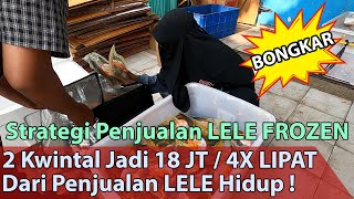 Download lagu BISNIS LELE BUMBU MODERN RAUP 400-500% PROFIT ! KOK BISA !! mp3