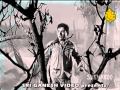 Alisvo Yeniya Kannada Superhti Songs Rajkumar