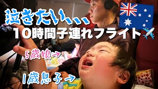 【一時帰国】1歳児との10時間フライトは辛すぎた😭【オーストラリア・メルボルン在住日本人家族】The Shimokawas🇦🇺