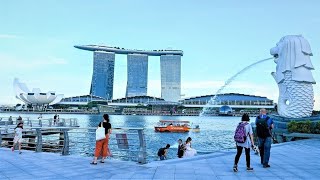 Singapore Seeking Expats With 'Super' Skills, Minister Says