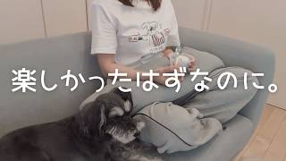人が好きなのに疲れる🐻HSS型HSPの私の話