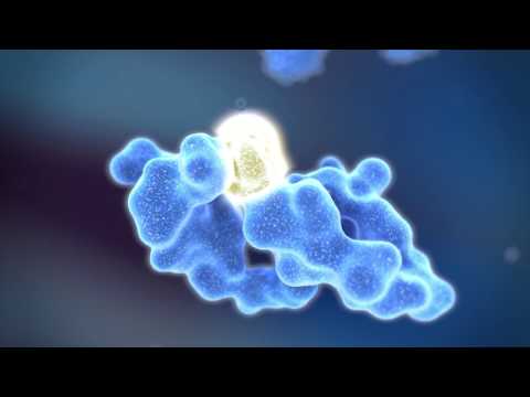 Bruker Daltonik - Disulfide Bonds