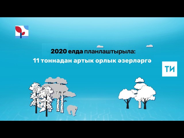 Сохранение лесов