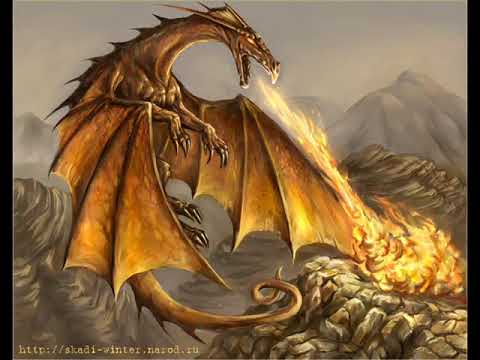 Daniel Landa - Zlatý Drak