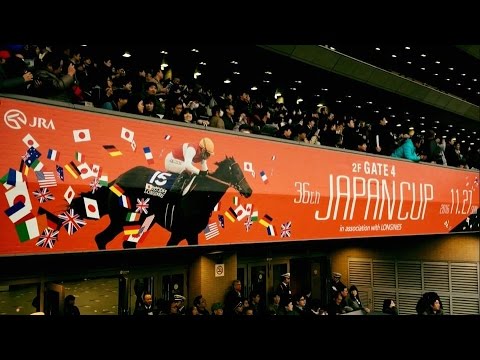 2016.11.27ジャパンカップ④ファンファーレ＠東京競馬場