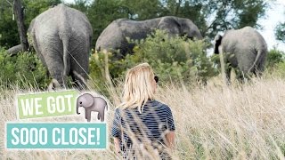 This is why you NEED to visit ZIMBABWE!