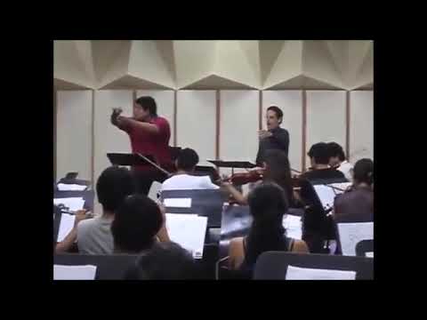 Mics love modern opera singers