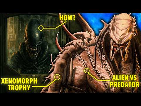 Predator: Killer of Killers - Every HIDDEN Detail Revealed (Alien vs Predator, Yautja Lore & More..)