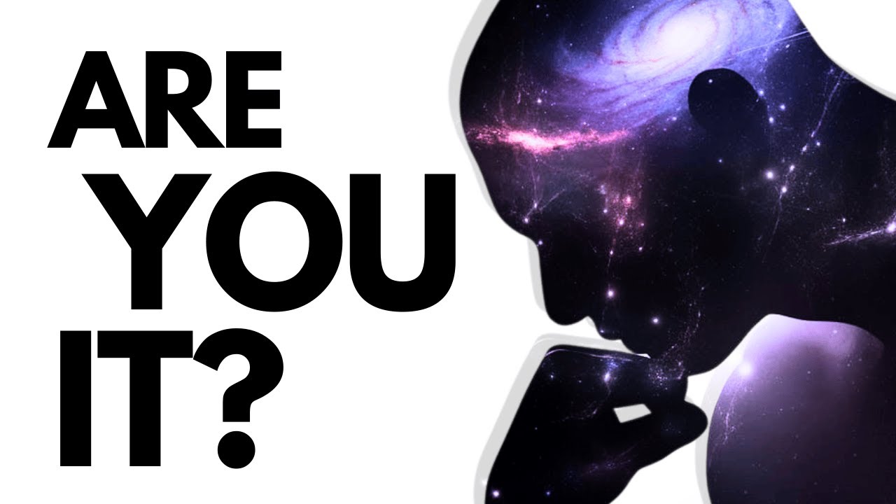 Are You the Universe Trying to Understand Itself?