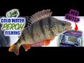 WINTER PERCH FISHING | How to Catch Perch on the Ned Rig | Floating Creature Baits | Big Perch Lures