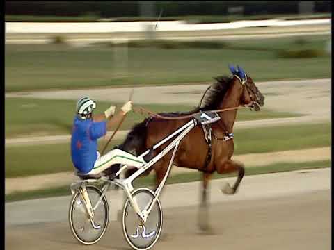 Trotto 07/07/2018 - 2ª corsa