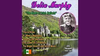 The Roving Journeyman