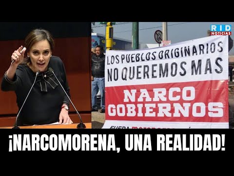 "NARCOMORENA": Lilly Tellez tears down Obrador for protecting criminals