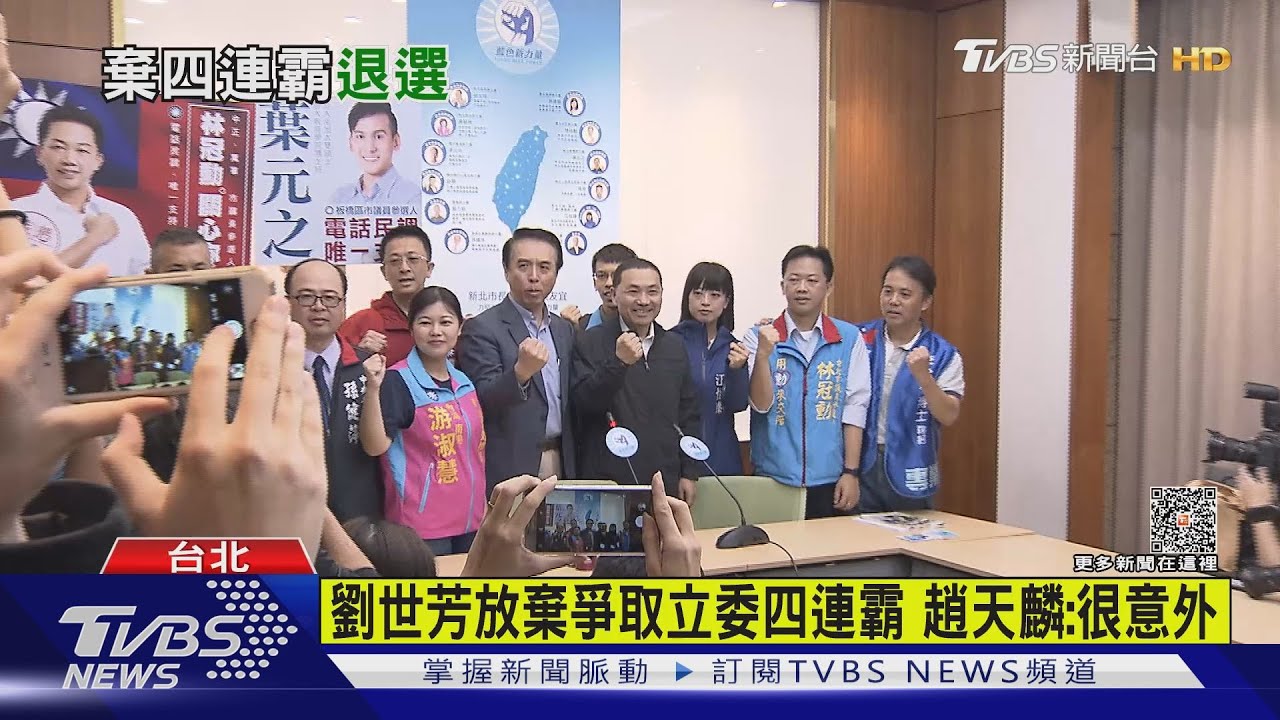 放棄民進黨立委提名 劉世芳「健康因素」退選