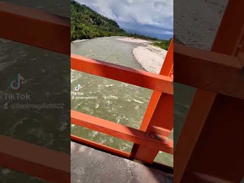 Visitando el Puente Palo Blanco _Provincia de Tocache- Región San Martin 🌴🦜 #selva #turismo #shorts