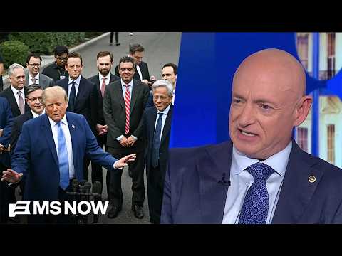 Sen. Kelly demands A.I. companies pay their fair share: 'The American people have to benefit too’