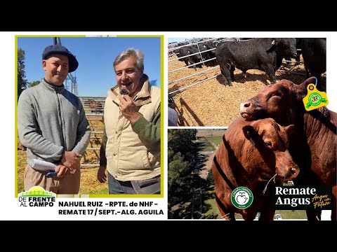 NAHUEL RUIZ - Rpte. de NÉSTOR HUGO FUENTES S.A. en ALGARROBO del ÁGUILA -L.P.-