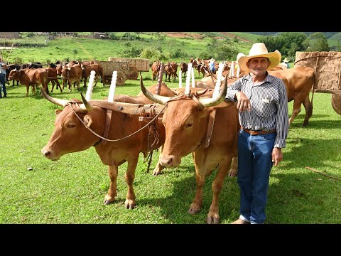 ENCONTRO DE CARREIROS NO BAIRRO RIO CLARO - NOVA RESENDE / 2024