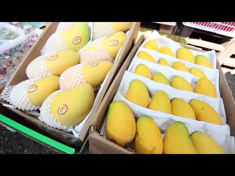 The largest Fresh Produce market in China - Jiangnan Fresh Produce Market