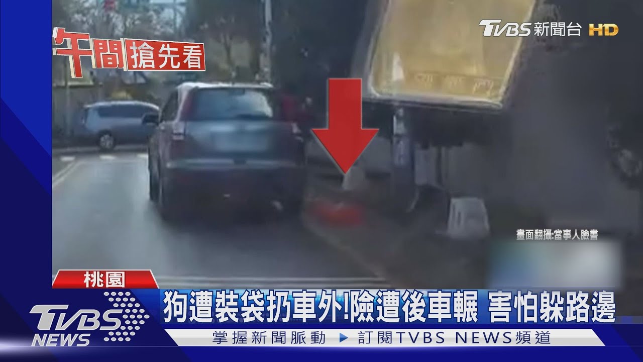 狗遭裝袋扔車外!險遭後車輾 害怕躲路邊
