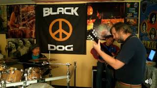 BLUES FACTORY.-Roll your moneymaker