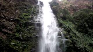 preview picture of video 'Wli Waterfalls Ghana'