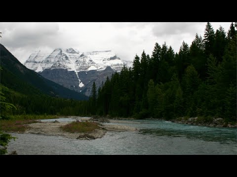 MONT - MOUNT ROBSON \CHUTES OVERLANDER FALLS \ RIVIÈRE FRASER RIVER\RIVER SIDE CAFÉ\TÊTE JAUNE CACHE