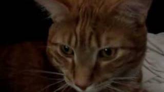 let it all out relient k