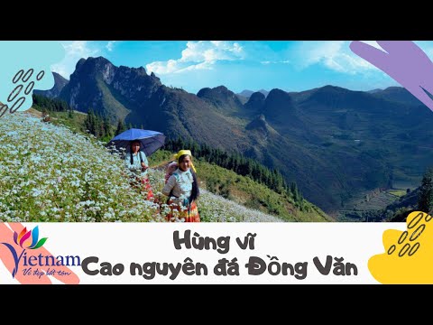 Hùng vĩ cao nguyên đá Đồng Văn