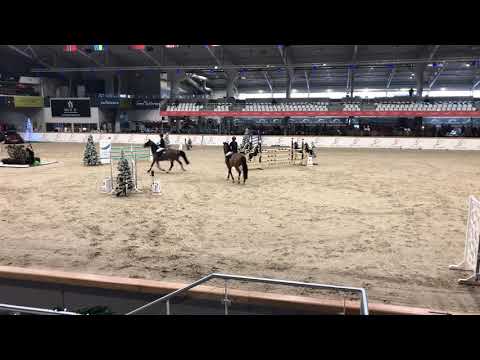 BP Mandela (Plot Blue x Cruising) | CSI** sentowerpark 30-11-2019 |